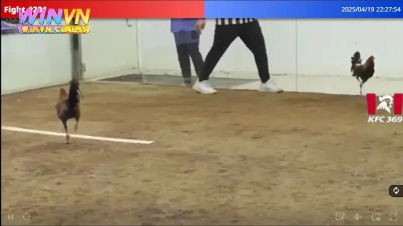 Mẹo chơi đá gà WINVN