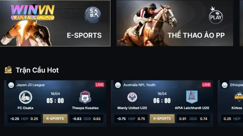 Các sảnh cược thể thao hot nhất tại WINVN